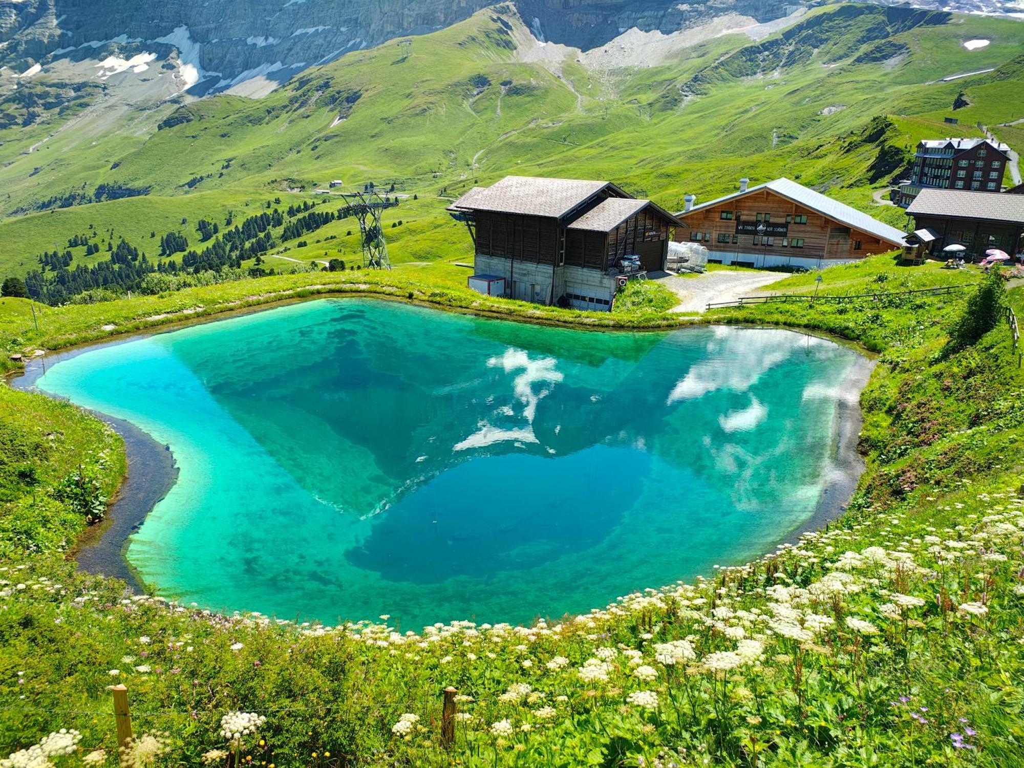 Chalet Schwendiboden Grindelwald Exteriér fotografie